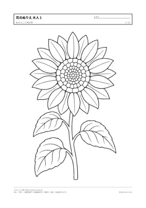 花・植物のぬりえ（大人向け）無料プリントの1枚目