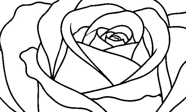 花・植物のぬりえ（大人向け）無料プリントの2枚目の一部を拡大した図