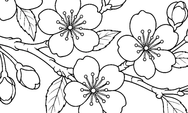 花・植物のぬりえ（大人向け）無料プリントの3枚目の一部を拡大した図