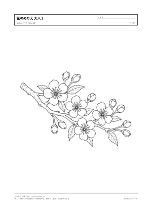 花・植物のぬりえ（大人向け）無料プリントの3枚目