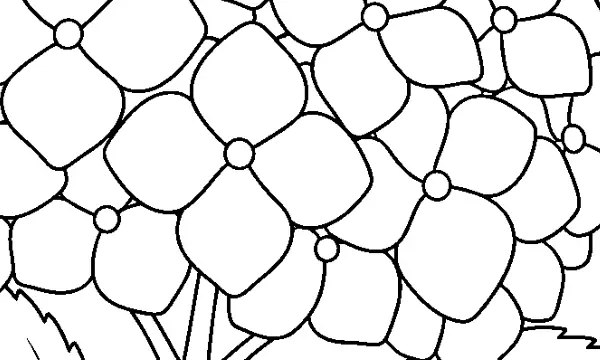 花・植物のぬりえ（大人向け）無料プリントの5枚目の一部を拡大した図