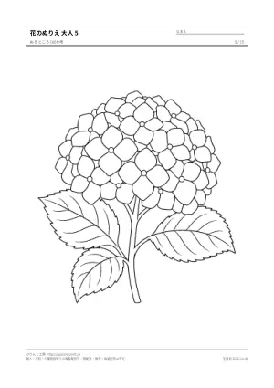 花・植物のぬりえ（大人向け）無料プリントの5枚目