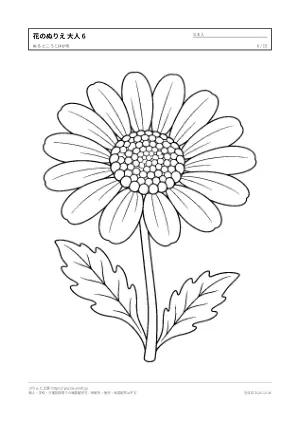 花・植物のぬりえ（大人向け）無料プリントの6枚目