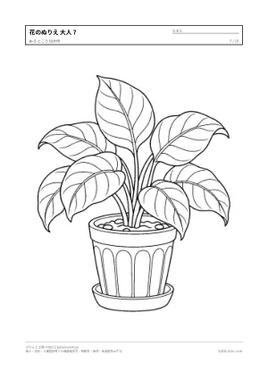花・植物のぬりえ（大人向け）無料プリントの7枚目