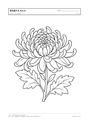 花・植物のぬりえ（大人向け）無料プリントの8枚目