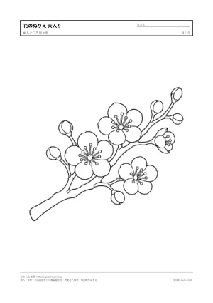 花・植物のぬりえ（大人向け）無料プリントの9枚目