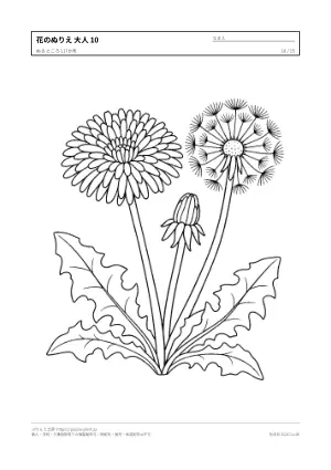 花・植物のぬりえ（大人向け）無料プリントの10枚目