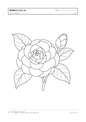 花・植物のぬりえ（大人向け）無料プリントの14枚目