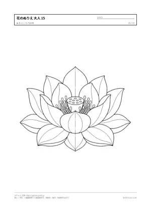 花・植物のぬりえ（大人向け）無料プリントの15枚目