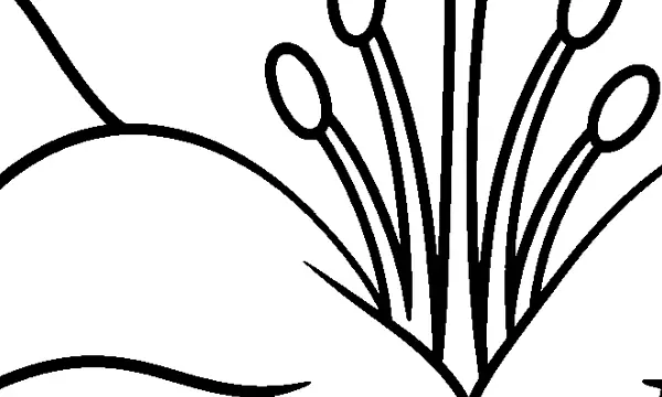 花・植物のぬりえ(高齢者向け)無料プリントの4枚目の一部を拡大した図